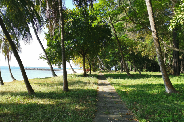 Clear Your Mind By Taking A Stroll